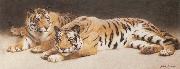John Charles Dollman Two Wild Tigers Germany oil painting artist